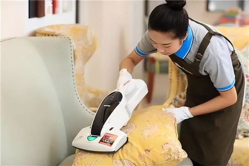 一条龙全包,这项上门服务火了