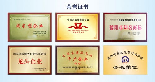 家道家政公布2024年度 智慧互联 引擎计划