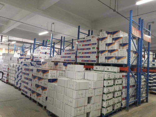 责任民企携手政府服务，助力泰安抗疫与复工复产