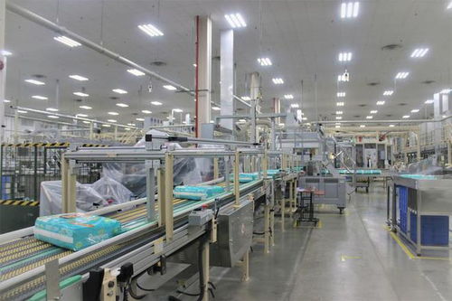 湖北高新技术产业与家政服务创新比翼齐飞，引领区域高质量发展