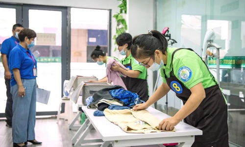 以信用机制驱动家政服务提质扩容——构建分级分类监管新格局